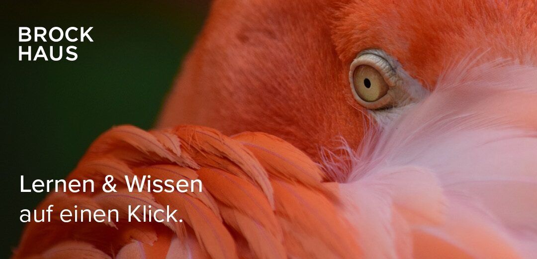 Brockhaus Enzyklopädie